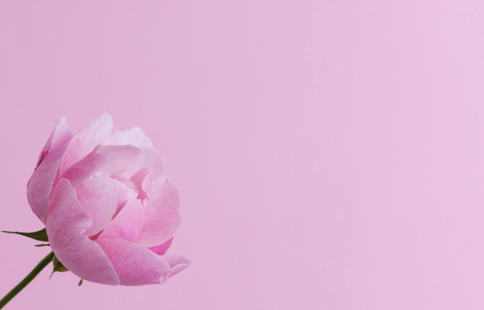 Die Ausflüsse der Frauen (Teil 1)